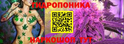 мдма Аргун