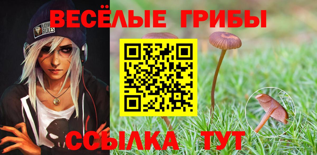 Псилоцибиновые грибы мухоморы Брянск