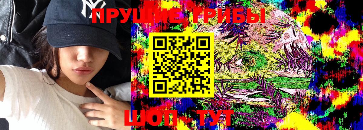 Галлюциногенные грибы Magic Shrooms  Псилоцибиновые грибы прущие грибы  Брянск  Вход с VPN 