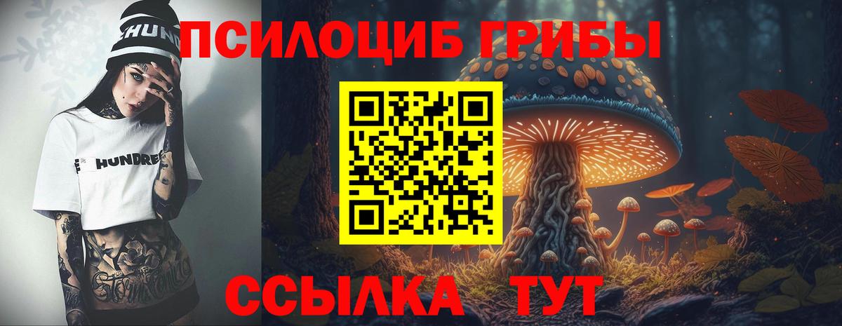 Гашиш  ЭКСТАЗИ  Брянск  Конопля  Метамфетамин  Купить наркотик  ГАШ  Мефедрон   Вход с VPN 