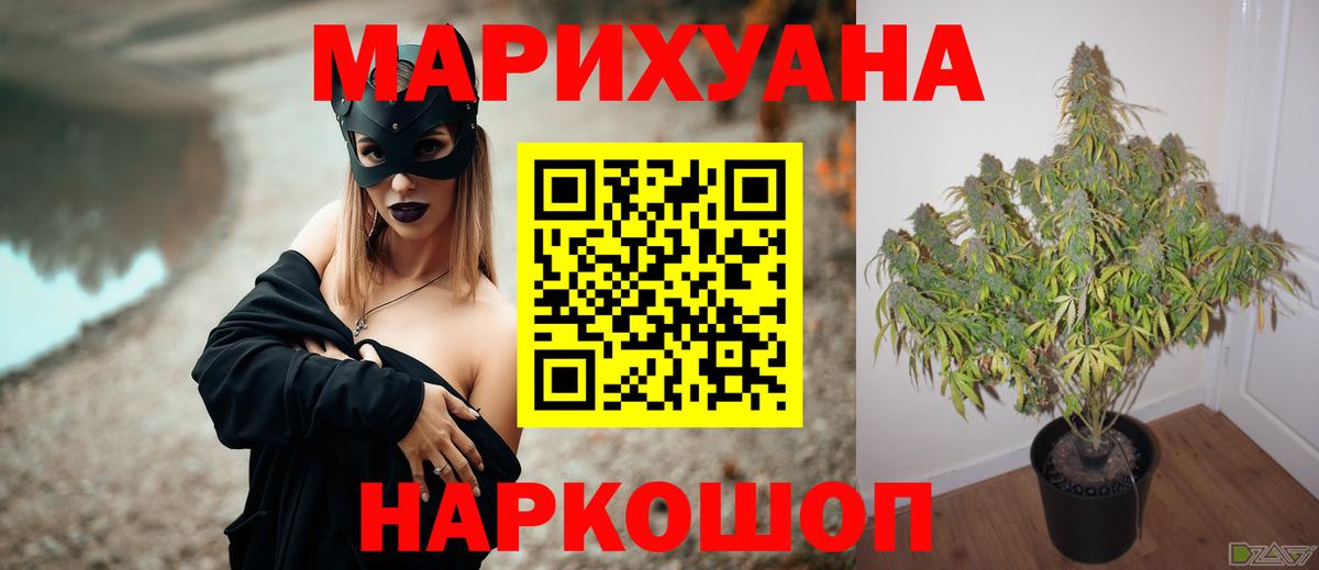 МАРИХУАНА White Widow Брянск